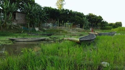 গ্রামীণ জীবন ও প্রাকৃতিক দৃশ্য: বাংলাদেশের গ্রাম্য পরিবেশে সবুজ মাঠ, নদী ও পাখির সঙ্গে শান্ত পরিবেশ