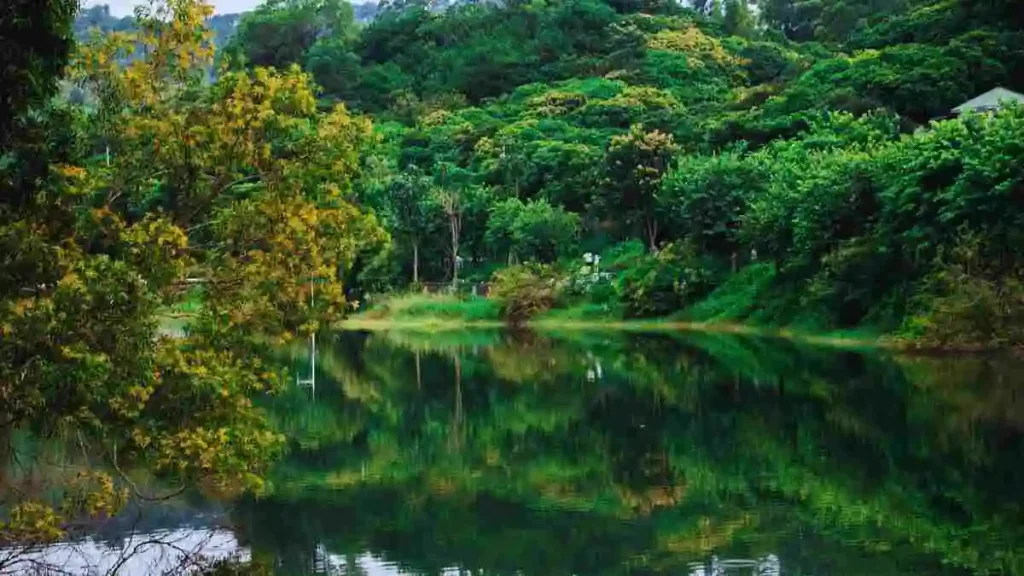 বাংলাদেশের প্রাকৃতিক সম্পদ ও এর গুরুত্ব সম্পর্কে তথ্য