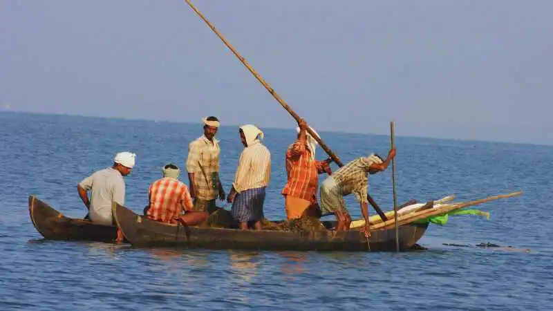 বাংলাদেশের প্রাকৃতিক সম্পদ এবং এর অর্থনৈতিক ও পরিবেশগত গুরুত্ব