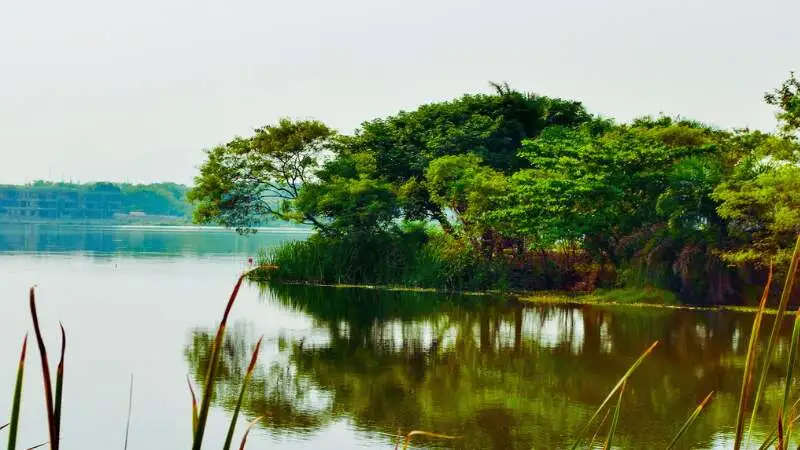 বাংলাদেশের প্রাকৃতিক সৌন্দর্য: পাহাড়, নদী ও সবুজ বনাঞ্চলের মনোরম দৃশ্য