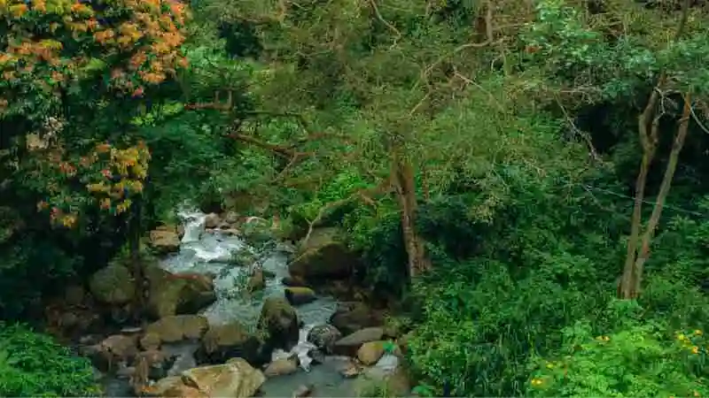 জীববৈচিত্র্য ও প্রাকৃতিক সম্পদের সম্পর্ক এবং পরিবেশের ভারসাম্যে এর প্রভাব