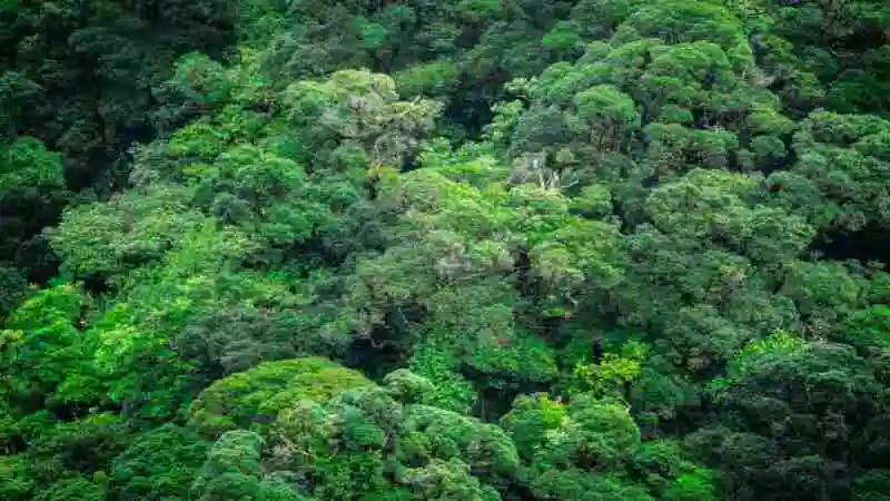 পরিবেশ সংরক্ষণে জীববৈচিত্র্যের গুরুত্বপূর্ণ ভূমিকা