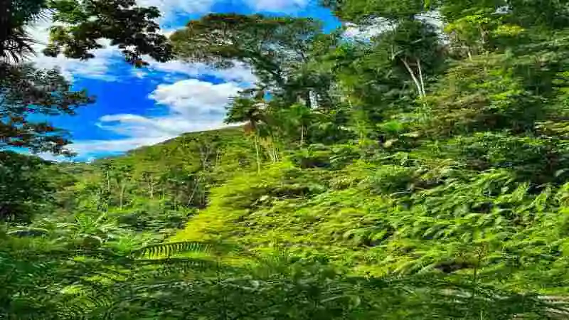 নভূমির গুরুত্ব ও উপকারিতা সম্পর্কে সচেতনতা ও পরিবেশ সংরক্ষণের বার্তা