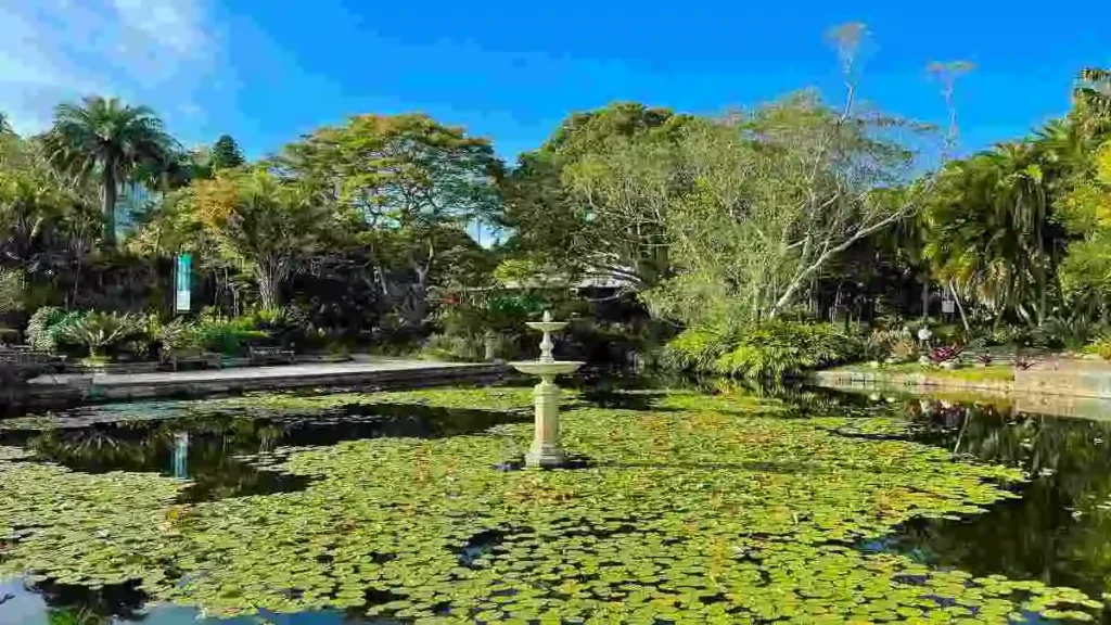 ইকো সিস্টেম এর উপাদান ও কার্যপ্রণালি ব্যাখ্যা করা পরিবেশের ছবি