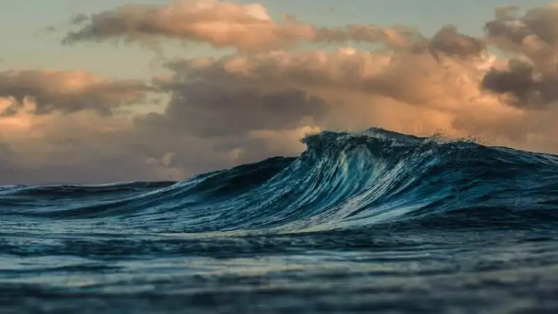 সুনামির বৈজ্ঞানিক ব্যাখ্যা প্রদর্শন করছে সমুদ্রতটে উচ্চ ঢেউ ও প্রাকৃতিক প্রক্রিয়ার দৃশ্য