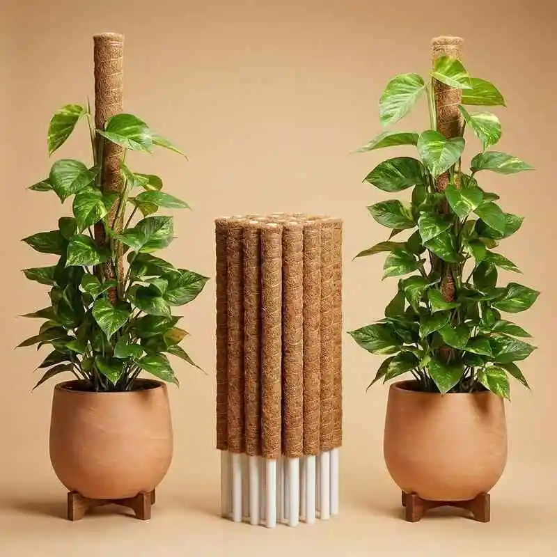 Coco Coir Moss Pole গাছের সাপোর্ট স্টিক, মানি প্ল্যান্ট ও লতানো গাছের জন্য কোকো ফাইবার পোল