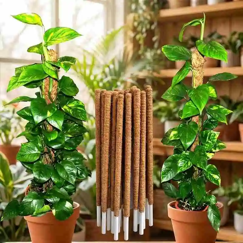 Coco Pole Plant Support গাছের সাপোর্ট স্টিক, মানি প্ল্যান্ট ও লতানো গাছের জন্য কোকো ফাইবার পোল