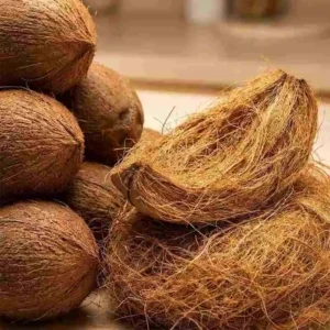 Coconut Fibre Manufacturer এর উন্নতমানের নারকেল ফাইবার ও কয়ার পণ্য