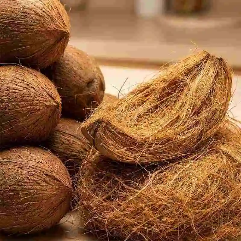 Coconut Fibre Manufacturer এর উন্নতমানের নারকেল ফাইবার ও কয়ার পণ্য