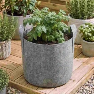 ছাদের ও বাড়ির বাগানের জন্য টেকসই এবং পরিবেশবান্ধব Geo Fabric Grow Bags, সবজি ও গাছ লাগানোর জন্য উপযুক্ত