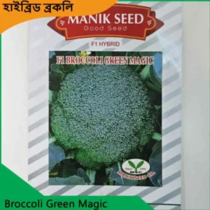Broccoli Seeds উচ্চ ফলনশীল উন্নত জাতের ব্রকলি বীজ দ্রুত অঙ্কুরোদগম ও স্বাস্থ্যকর চাষের জন্য