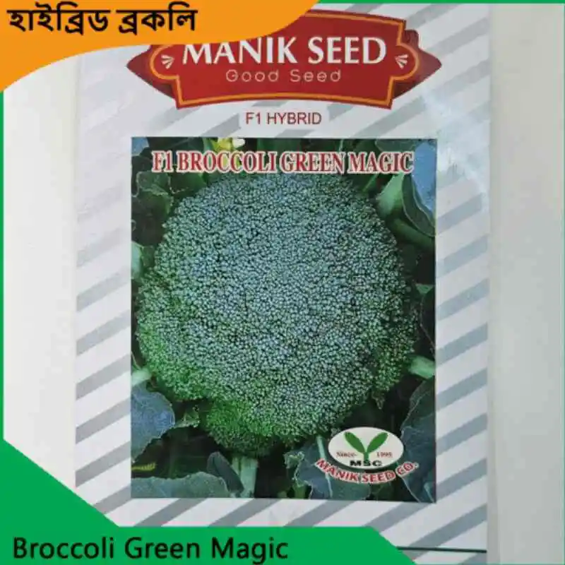 Broccoli Seeds উচ্চ ফলনশীল উন্নত জাতের ব্রকলি বীজ দ্রুত অঙ্কুরোদগম ও স্বাস্থ্যকর চাষের জন্য
