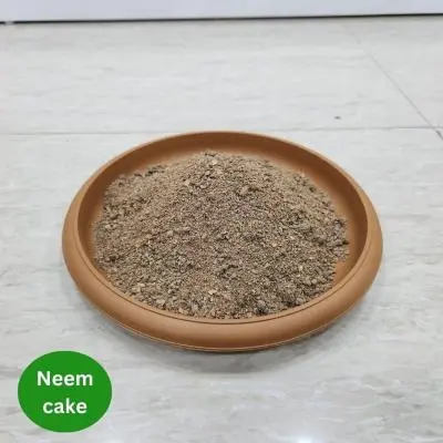 Neem Cake – প্রাকৃতিক নিম খৈল জৈব সার, মাটির উর্বরতা বৃদ্ধি ও গাছের স্বাস্থ্যকর বৃদ্ধির জন্য উপযোগী।
