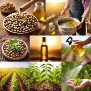 Neem Oil অর্গানিক নিম তেল কীটনাশক, গাছের ক্ষতিকর পোকামাকড় ও ছত্রাক দমনে কার্যকর প্রাকৃতিক বালাইনাশক