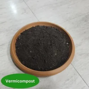 Vermicompost – প্রাকৃতিক কেঁচো সার, মাটির উর্বরতা বৃদ্ধি ও স্বাস্থ্যকর গাছের বৃদ্ধির জন্য উপযোগী জৈব সার।