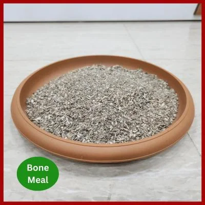 Bone Meal Fertilizer প্রাকৃতিক হাড়ের গুঁড়া জৈব সার, যা গাছের শিকড় শক্তিশালী করা, ফুল-ফল বৃদ্ধি এবং মাটির উর্বরতা উন্নত করার জন্য উপযোগী।