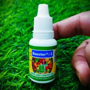 Booster 2 for Plants হলো ফুল ও ফল ধারণ বৃদ্ধিতে কার্যকর একটি উদ্ভিদ বৃদ্ধিকারক উপাদান, যা সফল পরাগায়ন, অধিক ফুল উৎপাদন এবং বিভিন্ন ফল ও সবজি গাছে অধিক ফলন নিশ্চিত করতে সহায়তা করে।