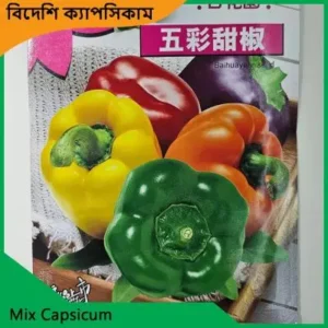Capsicum Seeds উন্নত মানের ক্যাপসিকাম বীজ – টব, ছাদ বাগান ও কৃষি জমিতে চাষের জন্য