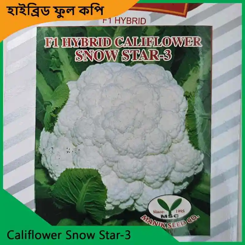 Cauliflower Seeds উচ্চ ফলনশীল বিদেশি ও হাইব্রিড ফুলকপির বীজ, যা বাণিজ্যিক ও পারিবারিক চাষের জন্য উপযোগী এবং উন্নত অঙ্কুরোদ্গম নিশ্চিত করতে সহায়ক।