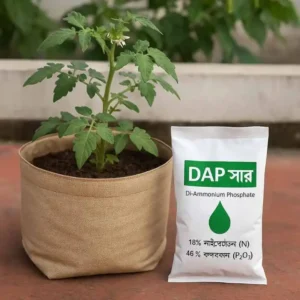 DAP fertilizer উচ্চমানের নাইট্রোজেন ও ফসফরাস সমৃদ্ধ সার, যা গাছের শিকড়ের দ্রুত বিকাশ, অধিক ফুল-ফল ধারণ এবং স্বাস্থ্যকর বৃদ্ধিতে কার্যকর।