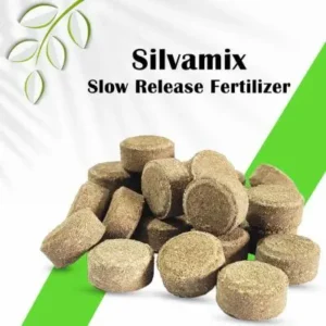 Fertilizer Tablet দীর্ঘস্থায়ী পুষ্টি সরবরাহকারী ট্যাবলেট সার, যা গাছের সুষম বৃদ্ধি, শিকড়ের সুস্থ বিকাশ এবং স্বাস্থ্যকর ফুল-ফল গঠনে কার্যকর।