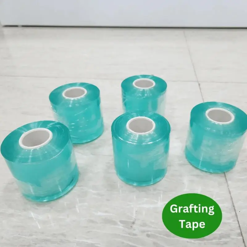 Grafting Tape গাছের কলম বাঁধার টেপ, যা গ্রাফটিং, ভাঙা ডাল জোড়া লাগানো এবং নিরাপদ উদ্ভিদ পরিচর্যার জন্য ব্যবহৃত হয়।
