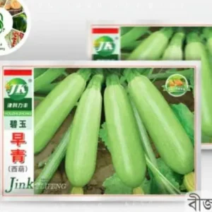 Green Squash Seeds বিদেশি সবুজ স্কোয়াশ বীজ – ছাদ বাগান, টব ও কৃষি জমিতে চাষের জন্য উন্নত মানের বীজ