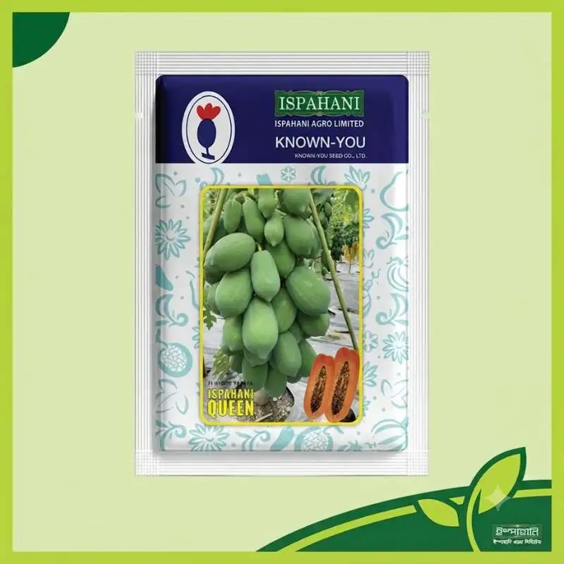 Ispahani Queen Papaya Hybrid F1 পেঁপের বীজের প্যাকেট, ভাইরাস সহনশীল, ১.৫–২.৫ কেজি ওজনের লাল শাঁসযুক্ত উচ্চ ফলনশীল পেঁপে চাষের জন্য উপযোগী।