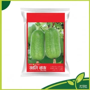 Jali Raj Ash Gourd Seed | জালি রাজ চাল কুমড়া বীজ
