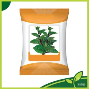 Kajla Indian Spinach বীজের প্যাকেট | উচ্চ ফলনশীল কাজলা পুঁই শাকের উন্নত মানের বীজ