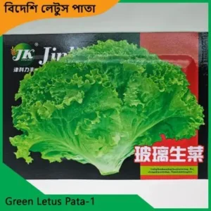 Letus Pata Seeds উন্নতমানের লেটুস পাতার বীজ, যা ছাদ বাগান, টব ও খোলা জমিতে উচ্চ ফলনশীল লেটুস চাষের জন্য উপযোগী।