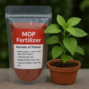 MOP Fertilizer পটাশিয়াম সমৃদ্ধ সার, যা গাছের অধিক ফলন, ফুল-ফল গঠন এবং রোগ প্রতিরোধ ক্ষমতা বৃদ্ধিতে কার্যকর।