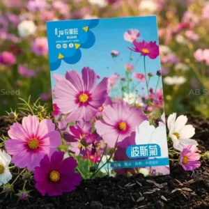 Mix Color Cosmos মিক্স কালার কসমস ফুলের বীজ – বহুরঙা কসমস ফুল চাষের উন্নতমানের বীজ
