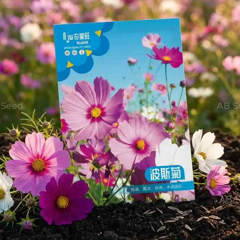 Mix Color Cosmos মিক্স কালার কসমস ফুলের বীজ – বহুরঙা কসমস ফুল চাষের উন্নতমানের বীজ