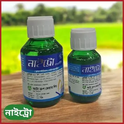 Nitro 505 EC ক্লোরপাইরিফস ও সাইপারমেথ্রিন সমৃদ্ধ শক্তিশালী তরল কীটনাশক, যা এফিড, জেসিড, সাদা মাছি, ক্যাটারপিলার ও উই পোকা দমনে কার্যকর।