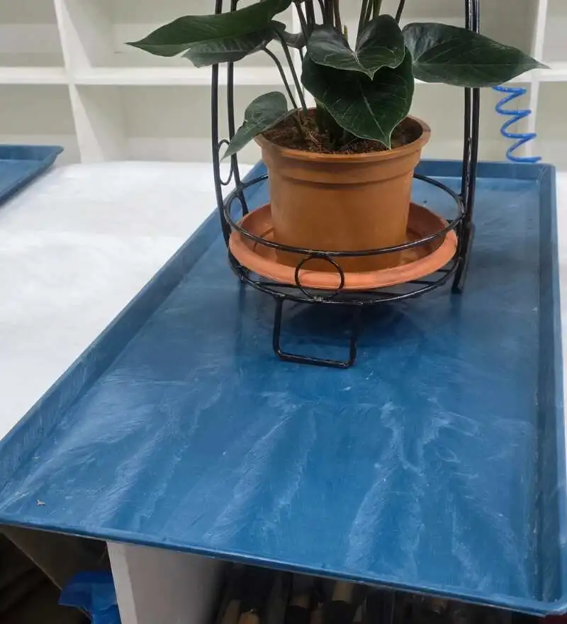 Plastic Tray For Indoor Plant ইনডোর গাছ, টব ও ১–৪ গ্যালন জিও ব্যাগের জন্য টেকসই প্লাস্টিক ট্রে, যা অতিরিক্ত পানি সংগ্রহ করে।