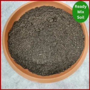 Ready Mix Soil প্রিমিয়াম রেডি মিক্স গার্ডেন মাটি, যা সবজি, ফল, ফুল, টব, গ্রো ব্যাগ ও ছাদ বাগানের গাছের জন্য সম্পূর্ণ প্রস্তুত জৈব মাটি।