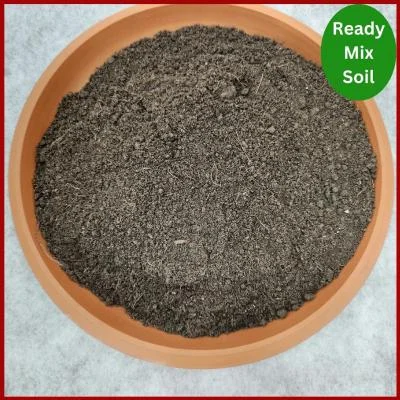 Ready Mix Soil প্রিমিয়াম রেডি মিক্স গার্ডেন মাটি, যা সবজি, ফল, ফুল, টব, গ্রো ব্যাগ ও ছাদ বাগানের গাছের জন্য সম্পূর্ণ প্রস্তুত জৈব মাটি।