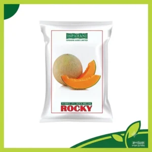 Rocky Rock Melon - Hybrid F1 রক মেলনের বীজের প্যাকেট, ঘন জালযুক্ত খোসা, ১–১.৫ কেজি ওজনের উচ্চ ফলনশীল হাইব্রিড রকমেলন চাষের জন্য উপযোগী।