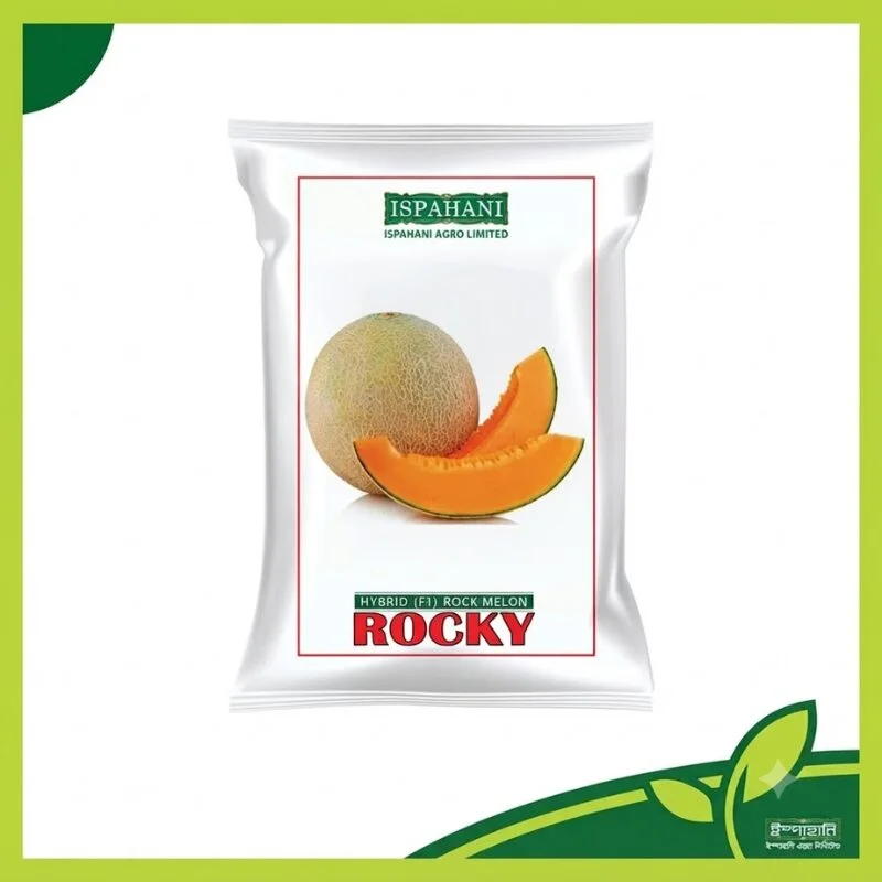Rocky Rock Melon - Hybrid F1 রক মেলনের বীজের প্যাকেট, ঘন জালযুক্ত খোসা, ১–১.৫ কেজি ওজনের উচ্চ ফলনশীল হাইব্রিড রকমেলন চাষের জন্য উপযোগী।