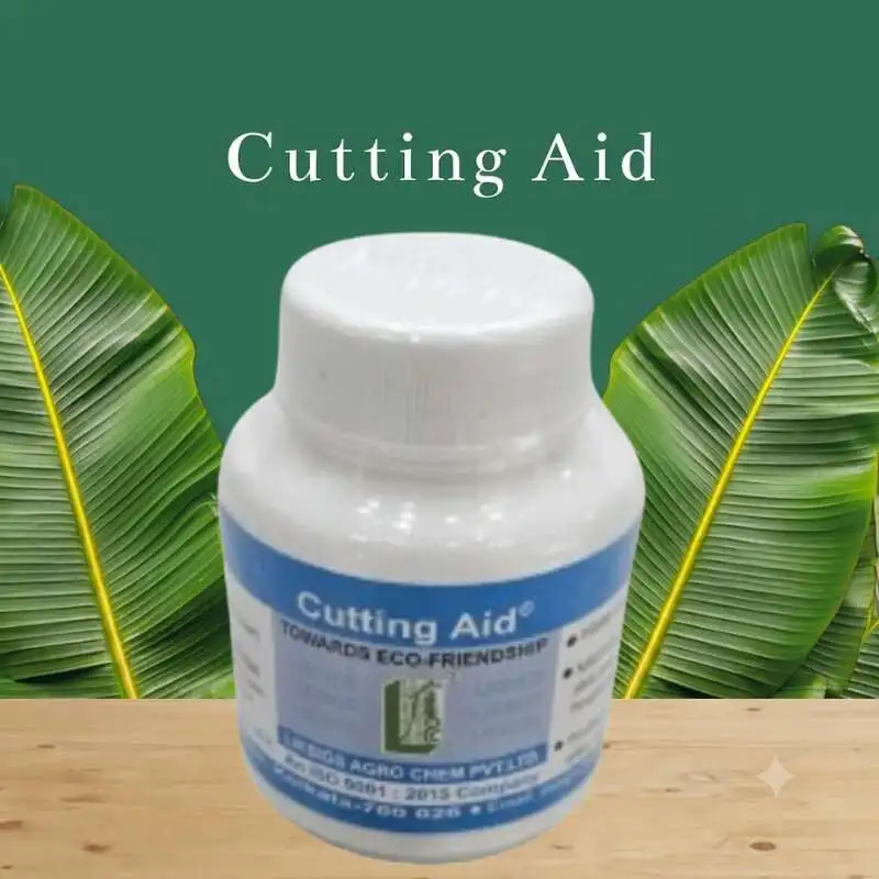 Rooting Hormone হলো কাটিং ও কলমে দ্রুত শিকড় গঠনে সহায়ক একটি কার্যকর উদ্ভিদ বৃদ্ধিকারক হরমোন, যা নতুন চারার বেঁচে থাকার হার বৃদ্ধি করে এবং ফল, ফুল ও শোভাবর্ধক বিভিন্ন গাছের দ্রুত ও স্বাস্থ্যকর শিকড় বিকাশে সহায়তা করে।