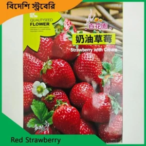Strawberry Seeds লাল ও সাদা বিদেশি স্ট্রবেরির উন্নতমানের বীজ, উচ্চ অঙ্কুরোদ্গম, টব, ছাদ বাগান ও জমিতে চাষের উপযোগী।