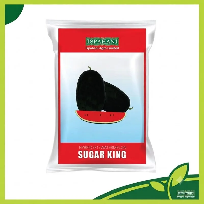 Sugar King Watermelon - Hybrid F1 তরমুজের বীজের প্যাকেট, ১২–১৩% ব্রিক্সযুক্ত মিষ্টি, টকটকে লাল শাঁস, কালচে খোসা ও উচ্চ ফলনশীল হাইব্রিড তরমুজ চাষের জন্য উপযোগী।