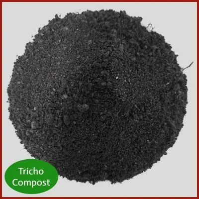 Tricho Compost উন্নতমানের জৈব ট্রাইকো কম্পোস্ট সার, যা ট্রাইকোডার্মা সমৃদ্ধ এবং মাটির উর্বরতা বৃদ্ধি, শিকড়ের সুস্থ বৃদ্ধি ও গাছের রোগ প্রতিরোধে সহায়ক।
