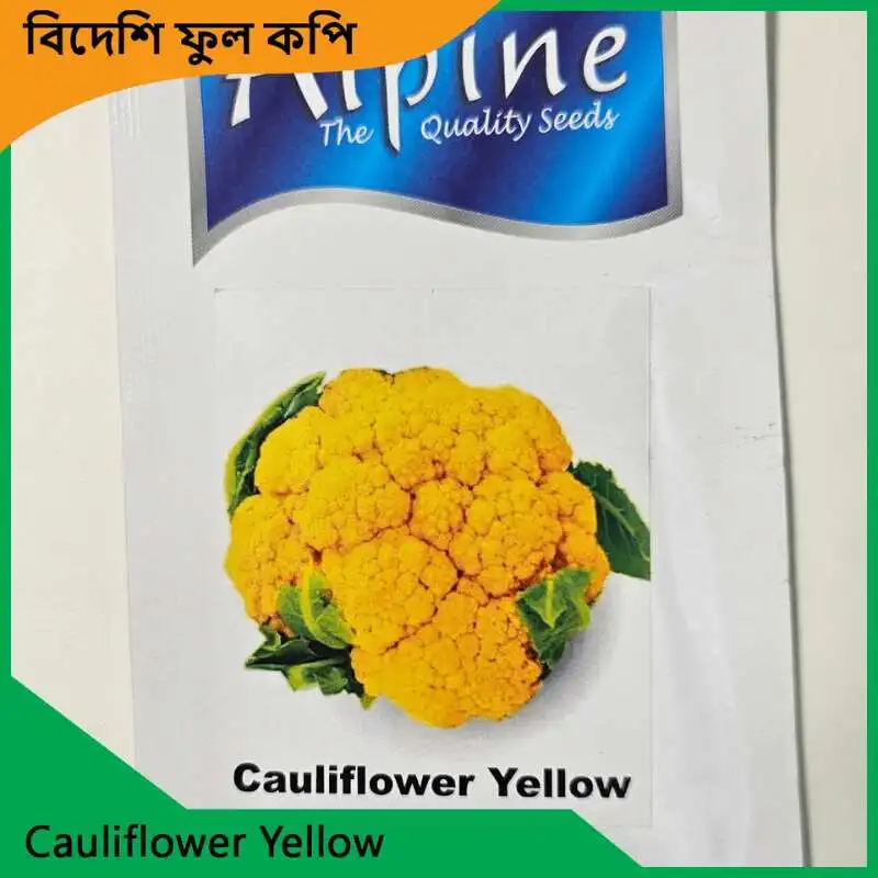 Cauliflower Seeds | উচ্চ ফলনশীল ফুলকপির বীজ - Image 2