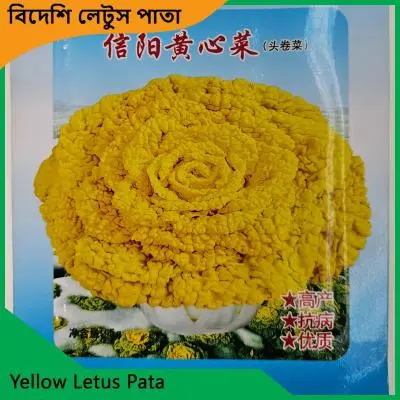 Letus Pata Seeds | উচ্চ ফলনশীল লেটুস পাতার বীজ - Image 4