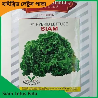 Letus Pata Seeds | উচ্চ ফলনশীল লেটুস পাতার বীজ - Image 5