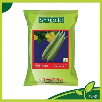 White Beauty Sponge Gourd হোয়াইট বিউটি হাইব্রিড ধুন্দল বীজ, উচ্চ ফলনশীল জাত, হালকা সবুজ, আঁশবিহীন ও সুস্বাদু ১২–১৪ ইঞ্চি লম্বা ধুন্দল।
