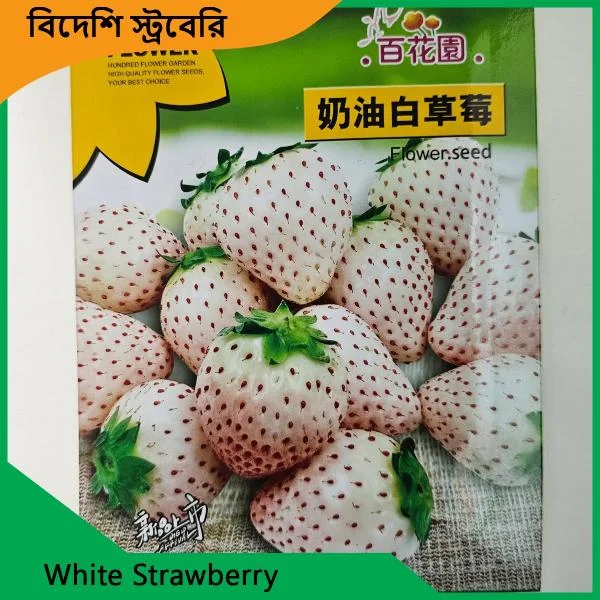 Strawberry Seeds - লাল ও সাদা বিদেশি স্ট্রবেরির বীজ - Image 2